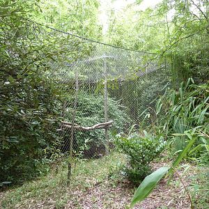Red Ruffed Lemur Exhibit