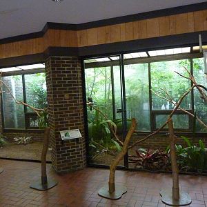 Discovery Center - Northern Pied Hornbill Exhibit