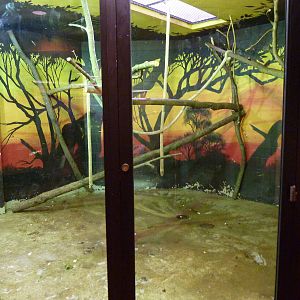 Discovery Center - Hyacinth Macaw Exhibit