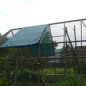 Discovery Center - Piping Guan Exhibit