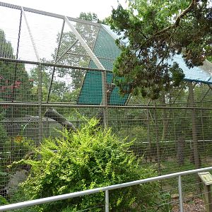 Discovery Center -Serval Exhibit