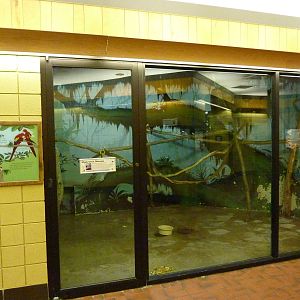 Discovery Center - Hyacinth Macaw Exhibit