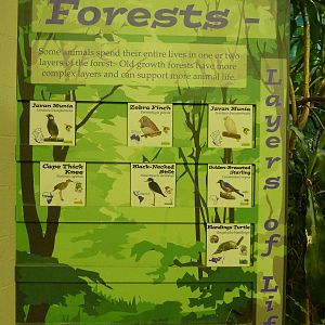 Barrier-Free Aviary - Signage