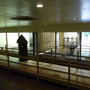 Indian Rhino/Aldabra Tortoise/Nile Hippo Barn