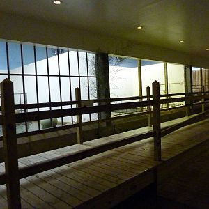 Indian Rhino/Aldabra Tortoise/Nile Hippo Barn