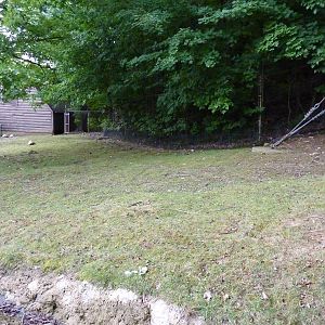 Reeves' Muntjac/Leopard Tortoise/African Spurred Tortoise Exhibit