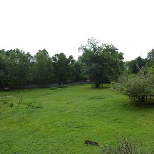 Reeves' Muntjac/Przewalski's Horse/Axis Deer Exhibit