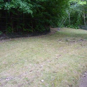 Reeves' Muntjac/Leopard Tortoise/African Spurred Tortoise Exhibit