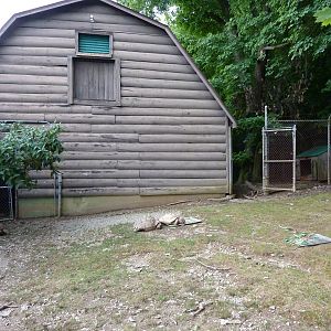 Reeves' Muntjac/Leopard Tortoise/African Spurred Tortoise Exhibit