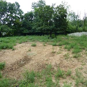 Barasingha/Sarus Crane Exhibit