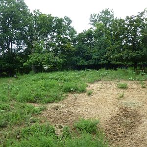 Barasingha/Sarus Crane Exhibit