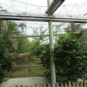 Amur Tiger Cage