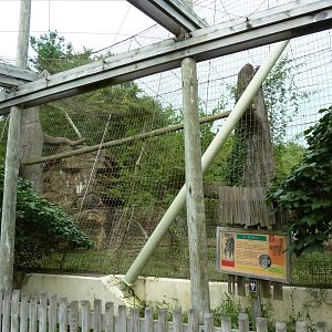 Amur Tiger Cage