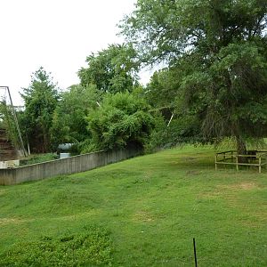 Reeves' Muntjac/Przewalski's Horse/Axis Deer Exhibit
