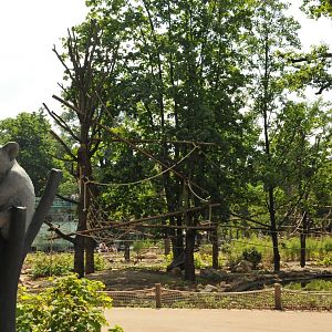 New Prof. Brandes-Haus