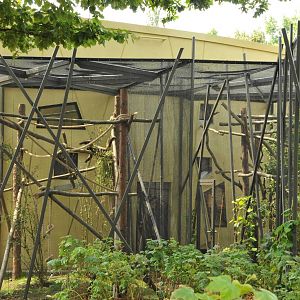 New Prof. Brandes-Haus