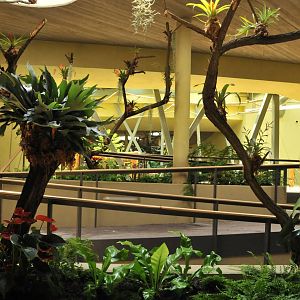 New Prof. Brandes-Haus