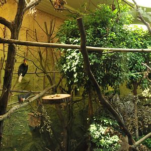 New Prof. Brandes-Haus