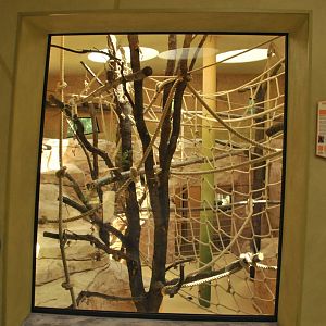 New Prof. Brandes-Haus