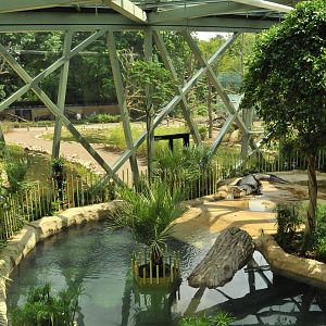 New Prof. Brandes-Haus