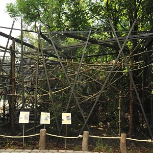 New Prof. Brandes-Haus