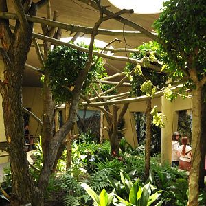 New Prof. Brandes-Haus