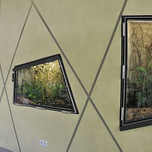 New Prof. Brandes-Haus