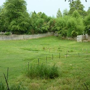 Przewalski's Horse/Axis Deer/Reeves' Muntjac Exhibit