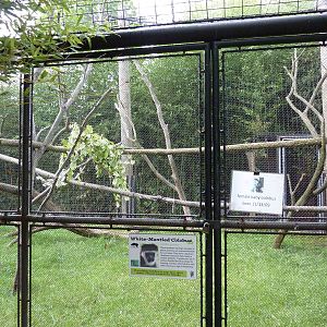 Children's Enchanted Forest - Colobus Monkey Exhibit