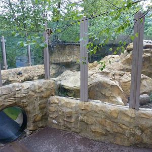 Children's Enchanted Forest - River Otter Exhibit
