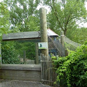 Children's Enchanted Forest - Coati Exhibit
