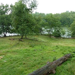 Africa - Greater Kudu/Ostrich Enclosure