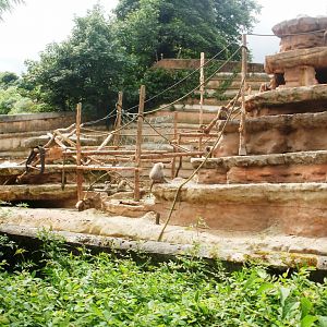 Baboon Rock - 27.07.2010