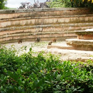 Baboon Rock - 27.07.2010