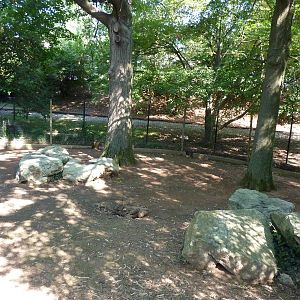 Islands - Red-Crowned Crane Exhibit