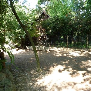 Islands - Aldabra Tortoise/Demoiselle Crane Exhibit