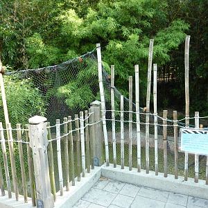 Islands - Red-Crowned Crane Exhibit