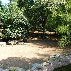 Islands - Aldabra Tortoise/Demoiselle Crane Exhibit