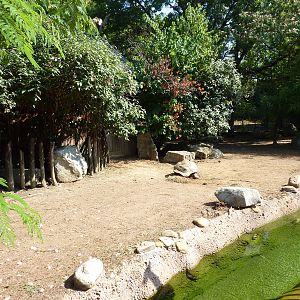 Islands - Aldabra Tortoise/Demoiselle Crane Exhibit