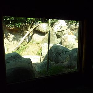 Islands - Rotation Exhibit