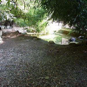 Islands - Aldabra Tortoise/Demoiselle Crane Exhibit
