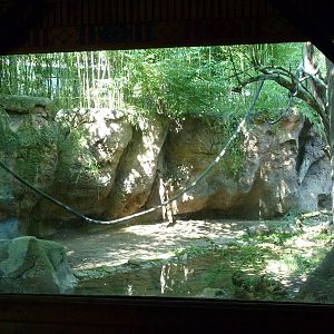 Islands - Rotation Exhibit