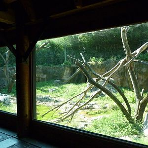 Islands - Rotation Exhibit