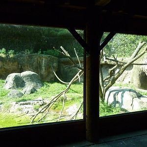 Islands - Rotation Exhibit