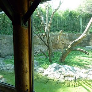 Islands - Rotation Exhibit