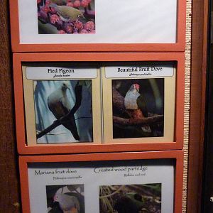 Islands - Aviary Signage