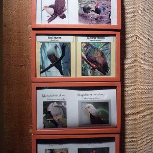 Islands - Aviary Signage