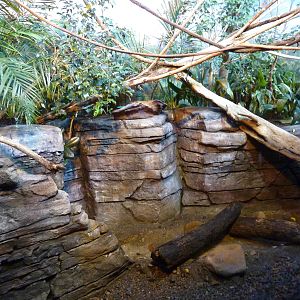 Islands - Mixed-Species Aviary