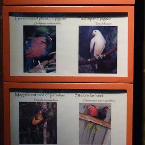 Islands - Aviary Signage