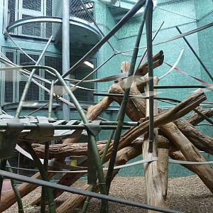 Islands - Rotation Exhibit